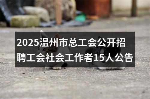 2025温州市总工会公开招聘工会社会工作者15人公告 图片
