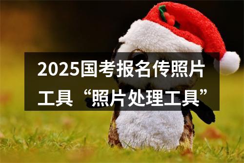 2025国考报名传照片工具“照片处理工具” 图片