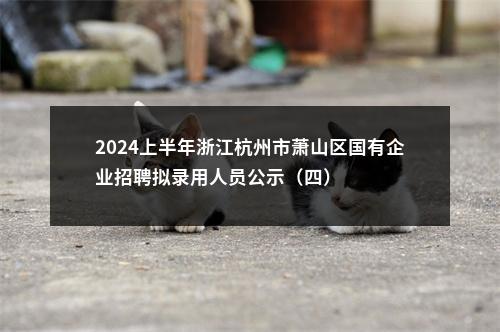 2024上半年浙江杭州市萧山区国有企业招聘拟录用人员公示（四） 图片