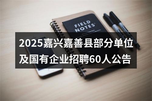 2025嘉兴嘉善县部分单位及国有企业招聘60人公告 图片