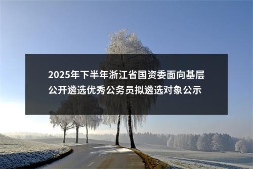 2025年下半年浙江省国资委面向基层公开遴选优秀公务员拟遴选对象公示 图片