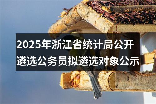 2025年浙江省统计局公开遴选公务员拟遴选对象公示 图片