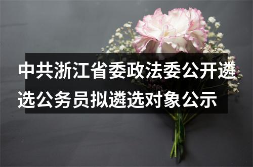 中共浙江省委政法委公开遴选公务员拟遴选对象公示 图片