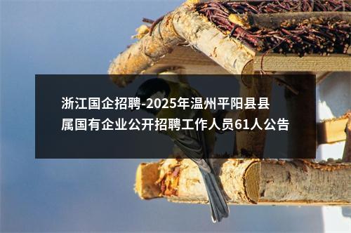浙江国企招聘-2025年温州平阳县县属国有企业公开招聘工作人员61人公告 图片