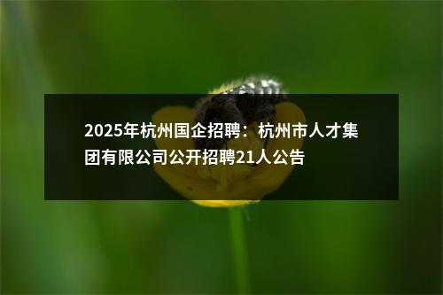 2025年杭州国企招聘：杭州市人才集团有限公司公开招聘21人公告 图片